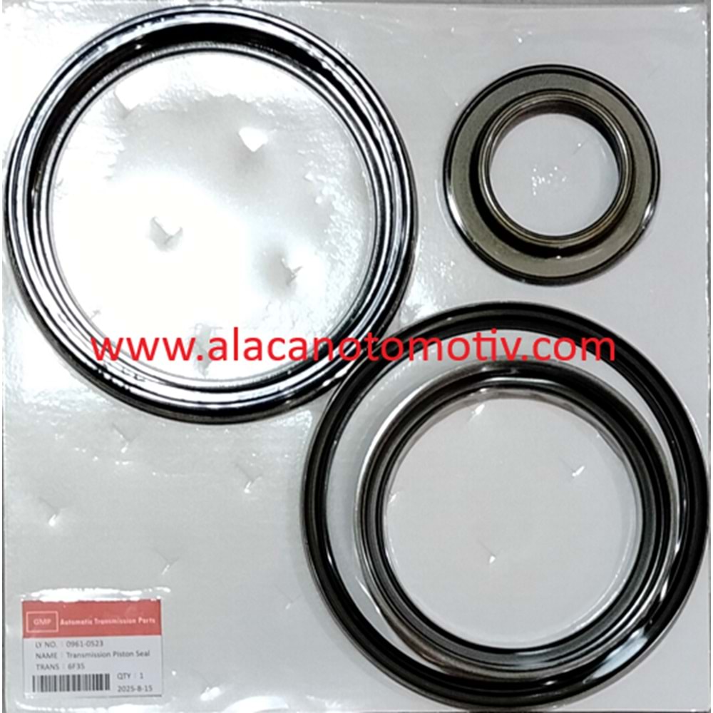 6F35 PİSTON TAKIMI FORD GM