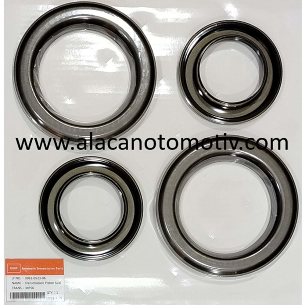 MPS6 (6DCT450) PİSTON TAKIMI FORD