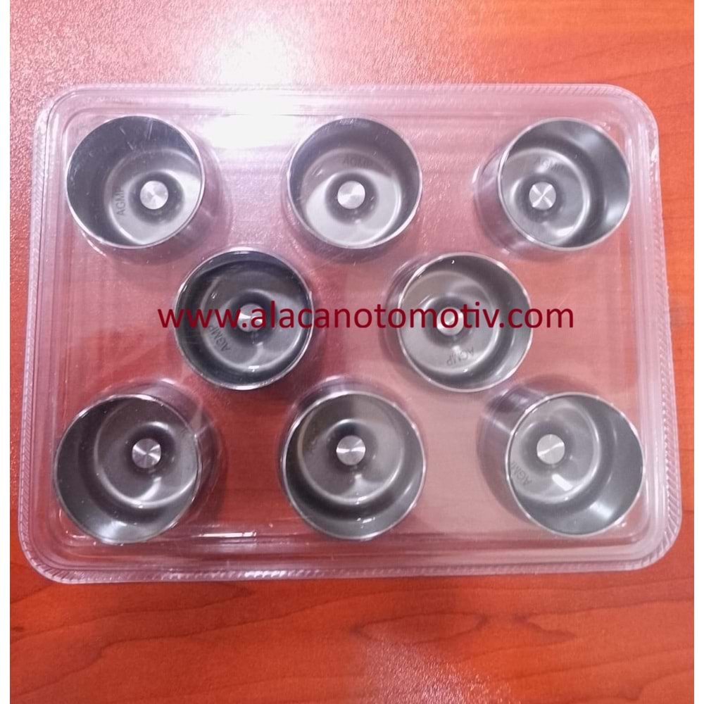 FİNCAN TAKIMI RENAULT CLIO/MEGANE/KANGOO DİZEL 1.5 (K9K 700) KROM