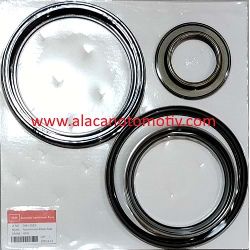 6F35 PİSTON TAKIMI FORD GM