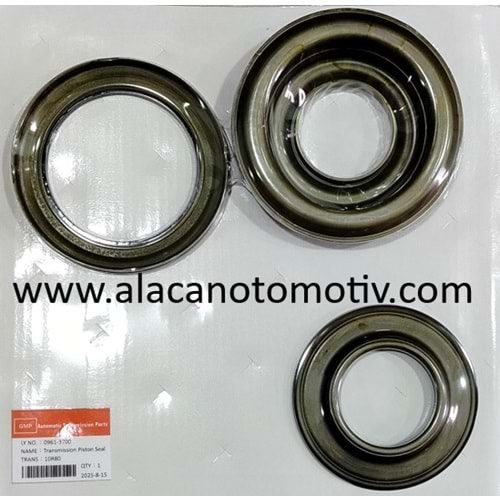 10R80 PİSTON TAKIMI FORD GM (10 İLERİ)