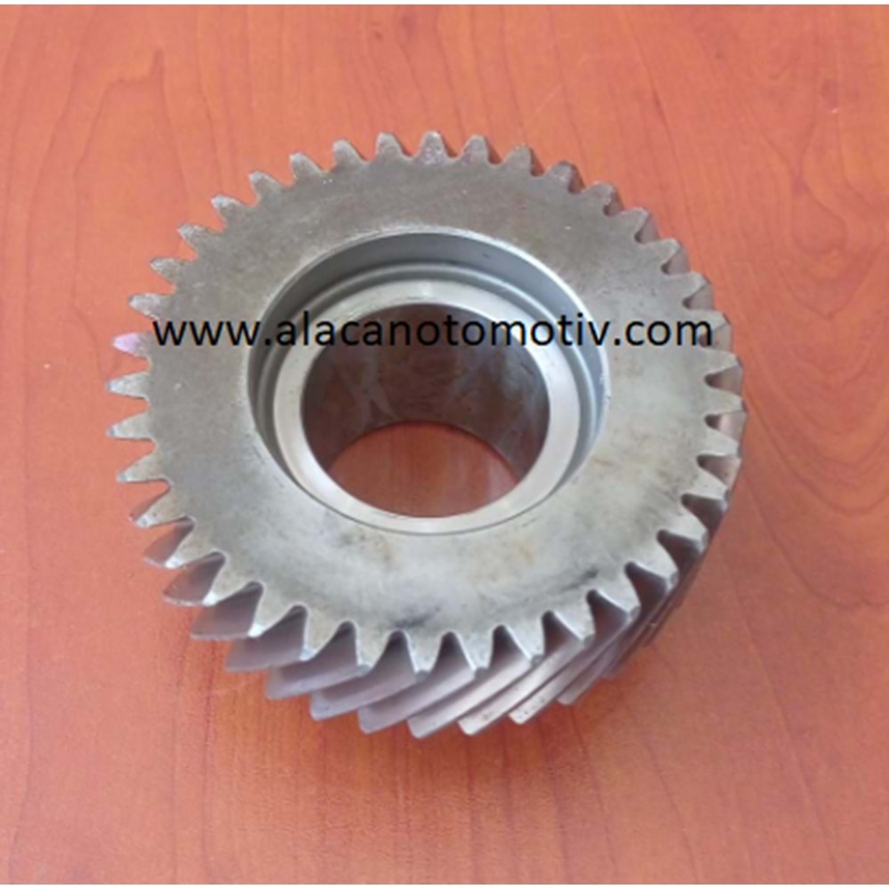 GRUP DİŞLİSİ 4 XENON