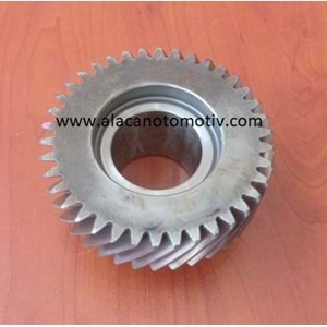 GRUP DİŞLİSİ 4 XENON